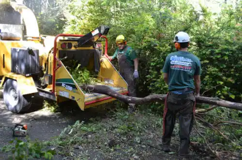 tree services Fairfield Bay